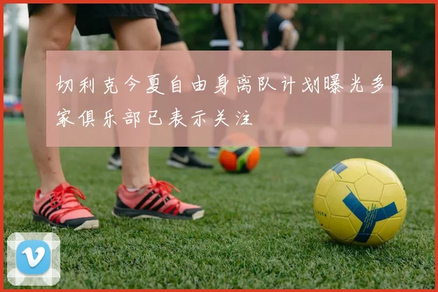 切利克今夏自由身离队计划曝光多家俱乐部已表示关注